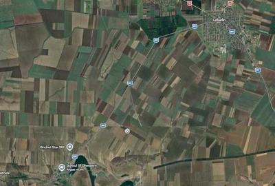 Teren de 12500 mp, în Cobadin