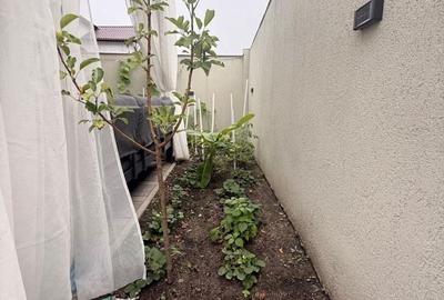 Casă cu 4 camere în Domnești
