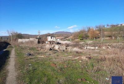 Spațiu comercial, de 9,100 mp, în Conop - 4