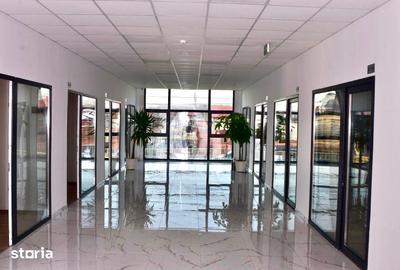 Spațiu comercial, de 830 mp, în Ion Creangă