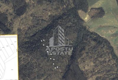 Teren agricol extravilan de 5400 mp, în Cuied - 1