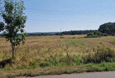 Teren de 12500 mp, în Central
