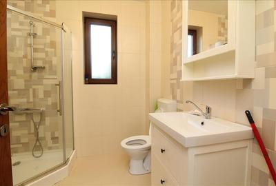 Apartament cu 2 camere semidecomandat în Europa - 9