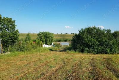 Teren de 3400 mp, în Dărăști-Vlașca - 6