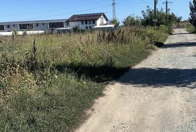 Teren Construcții intravilan de 3645 mp, în 1 Decembrie