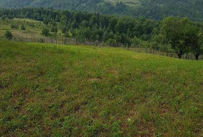 Teren de 2800 mp, în Talea - 4
