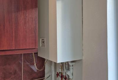 Apartament cu 2 camere semidecomandat în Cetate - 4
