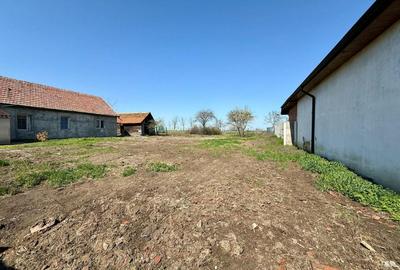 Teren Construcții intravilan de 1476 mp, în Liebling