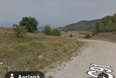 Spațiu comercial, în Sălicea - 4