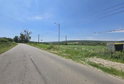 Teren de 2472 mp, în Plavia - 7