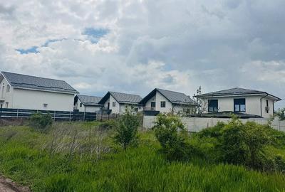 Teren de 300 mp, în Berceni - 1