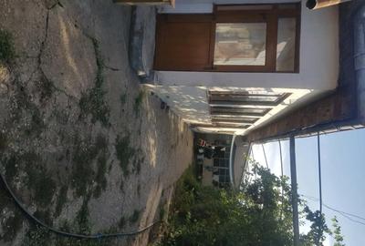 Casă cu 4 camere în Măgurele - 2