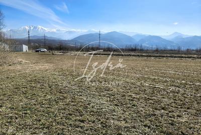 Teren agricol extravilan de 2800 mp, în Tălmaciu - 7