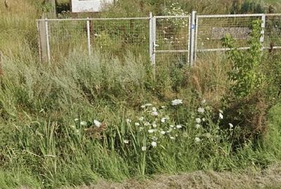 Teren de 3850 mp, în Est