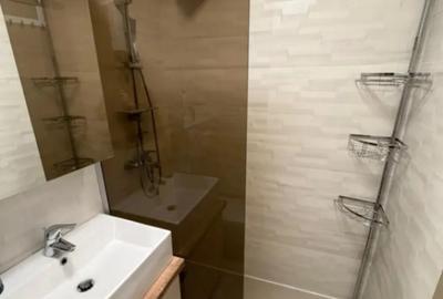 Apartament cu 3 camere decomandat, mobilat în Drumul Taberei - 9