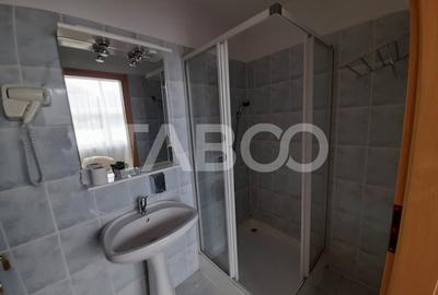 Spațiu comercial, de 2,300 mp, în Turnișor - 17