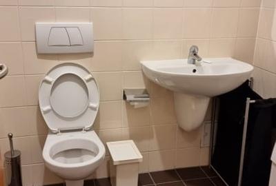 Apartament cu 3 camere semidecomandat, mobilat în Chitila - 9