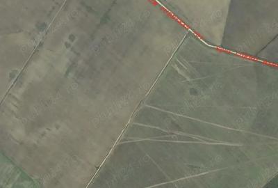 Teren de 49000 mp, în Gratia - 1