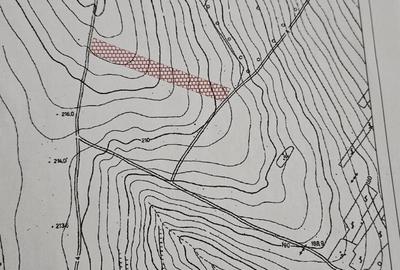 Teren de 800 mp, în Moara Grecilor - 2