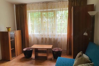 Apartament cu 2 camere semidecomandat în Malu Roșu - 4