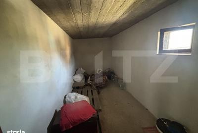 Casă cu 3 camere în Miluani