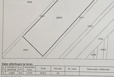 Teren de 5000 mp, în Dridu - 1