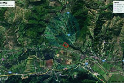 Teren extravilan de 100000 mp, în Berca