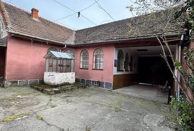 Casă cu 3 camere cu Teren 1500 Mp în Criciova - 4