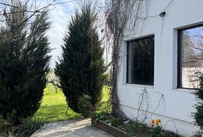 Casă cu 6 camere cu Teren 1416 Mp în Ciulnița