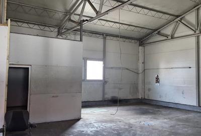 Spațiu comercial, de 260 mp, în Săcălaz - 5