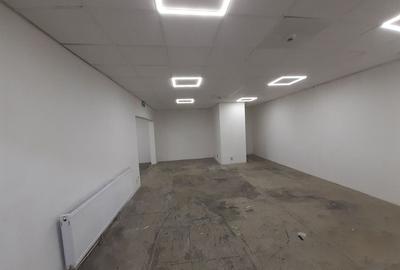 Spațiu industrial, de 550 mp, în Theodor Pallady - 14