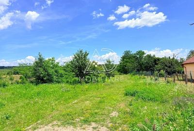 Teren de 8500 mp, în Runcu - 2