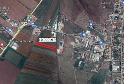 Teren de 10000 mp, în Livada - 1