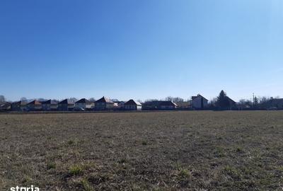 Teren de 50000 mp, în Prejmer - 6