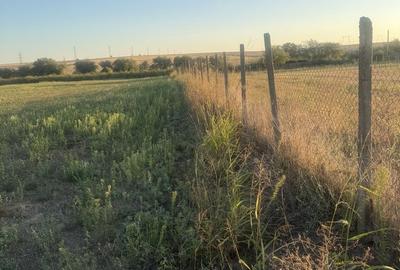 Teren de 4000 mp, în Frecăței