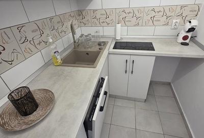 Casă cu 4 camere cu Teren 30 Mp în Centrul Civic - 9