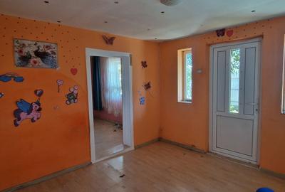 Casă cu 3 camere cu Teren 3589 Mp în Săucești
