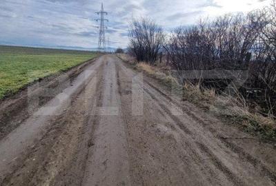 Teren de 1500 mp, în Central
