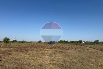 Teren de 1000 mp, în Crevedia