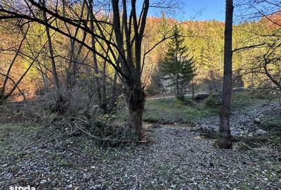 Teren de 2882 mp, în Dâmbovicioara - 1