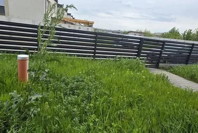 Casă cu 4 camere în Tamași - 8