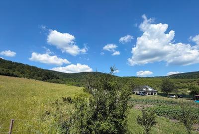 Teren de 5800 mp, în Vultureni - 1
