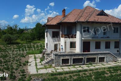 Casă cu 6 camere cu Teren 14710 Mp în Șuici - 5