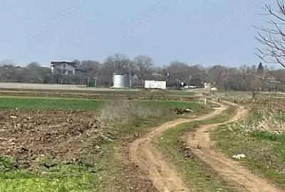 Teren de 5000 mp, în Central - 2
