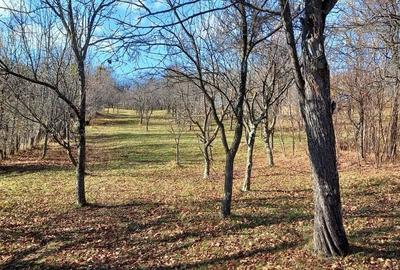 Spațiu comercial, în Șotrile - 3