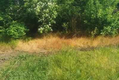 Teren de 1025 mp, în Valea Stânii