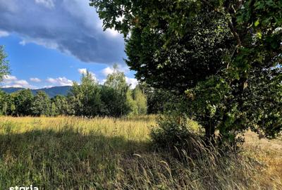 Teren de 8439 mp, în Șinca