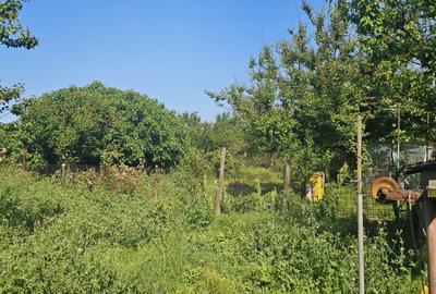 Casă individuală cu 3 camere cu Teren 470 Mp în Viile Noi - 6