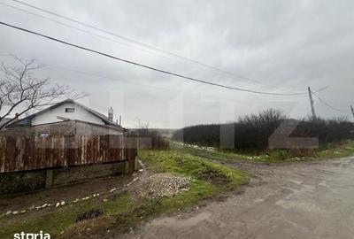 Teren de 2298 mp, în Robănești - 6