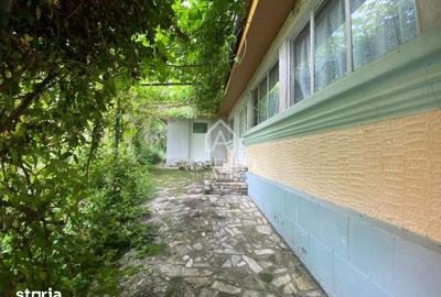 Teren de 15900 mp, în Năeni - 5